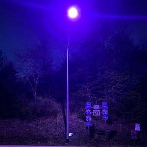 Meet your Posher, Sammy